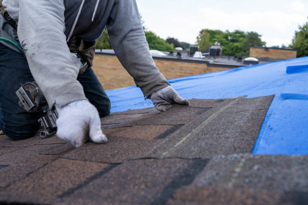 Gutter Replacement in Dupo, IL